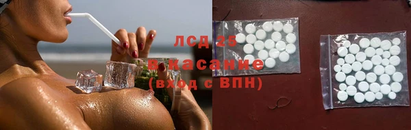 мяу мяу мука Абаза