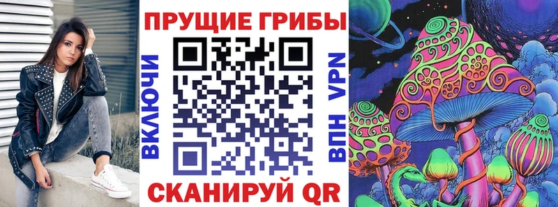 продажа наркотиков  Кингисепп  Псилоцибиновые грибы Psilocybine cubensis 