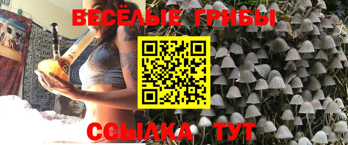 Псилоцибиновые грибы мухоморы Кингисепп