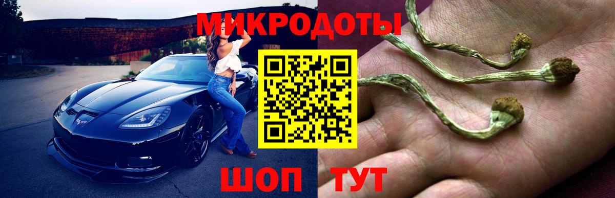Галлюциногенные грибы мухоморы  Вход с VPN  закладки  Кингисепп 